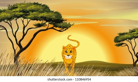 illustration of a leopard in the nature