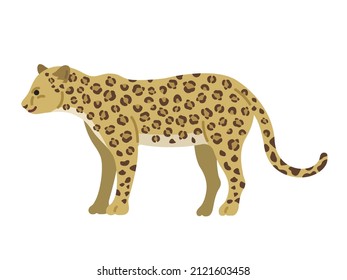 An illustration of a leopard seen from the side.
