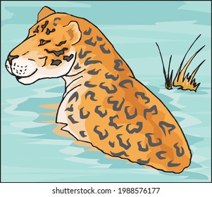 illustration of leopard sitting in water