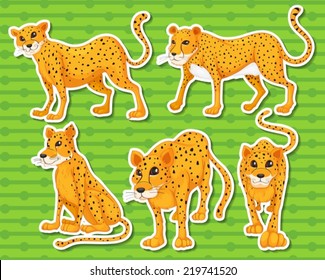 Illustration of leopards with background