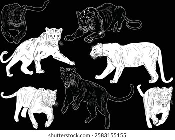 illustration with leopards isolated on black background