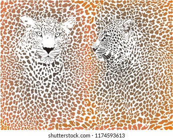 illustration leopards skin brown background 