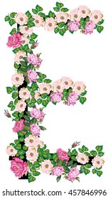illustration with letter E from rose and brier flowers isolated on white background