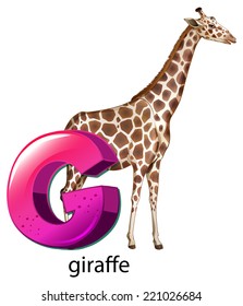 Illustration of a letter G for giraffe on a white background 