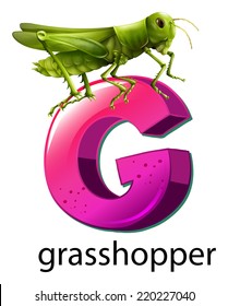 Illustration of a letter G for grasshopper on a white background 