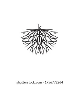 illustration of letter k on root logo vector