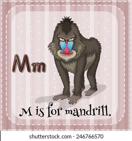Illustration eines Buchstabens M ist für Mandrill