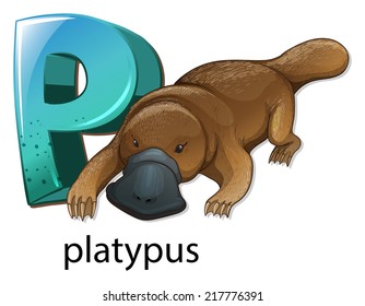 Illustration of a letter P for platypus on a white background 