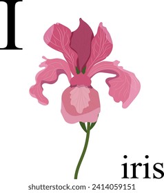 Illustration of the letter I in the plant alphabet. Iris. Element for print, postcard, poster, embroidery, laser cutting. Vector illustration. English alphabet.