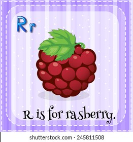 Illustration of a letter r is for rasberry