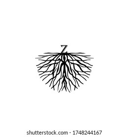 illustration of letter Z on root logo vector