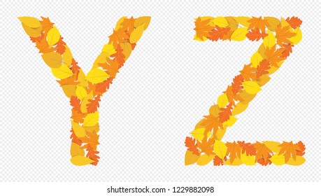 Illustration of letters Y and Z alphabet, autumn yellowed leaves, decoration, design.