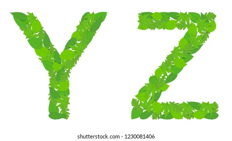 Illustration of the letters Y and Z alphabet, green spring-summer, design, design.