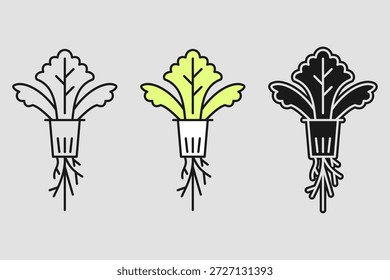Ilustração de alfaces em três estilos diferentes. Produtos hortícolas hidropônicos. Agricultura moderna, ilustração vetorial.