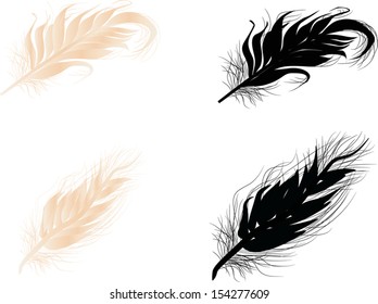 illustration with light and black feathers isolated on white background