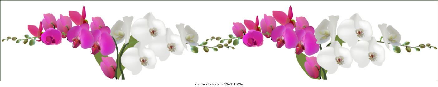ilustración con orquídeas claras y oscuras sobre fondo blanco