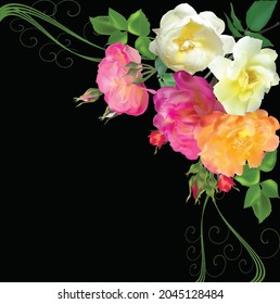 Illustration mit hellrosa und dunklem rosa Bunch einzeln auf schwarzem Hintergrund