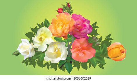 illustration with light and dark rose bunch on green background