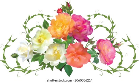 illustration with light and dark rose bunch isolated on white background