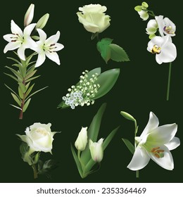 illustration with light flowers collection isolated on dark green background