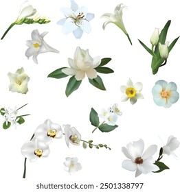 illustration with light flowers set isolated on white background