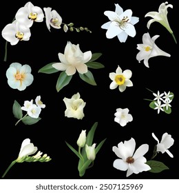 illustration with light flowers set isolated on black background