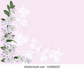ilustración con orquídeas lilac claras en el fondo rosa