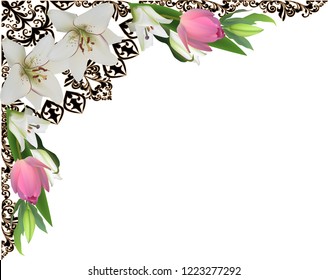 illustration with light lily flowers isolated on white background