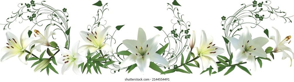 illustration with light lily flowers isolated on white background