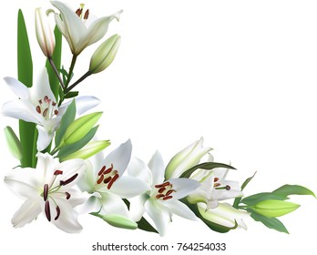 White Flowers Flower Background Calla Lilies Stock Vector (Royalty Free ...