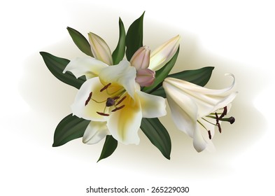 illustration with light lily flowers on light background