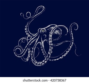 Illustration. Light octopus on a dark blue background