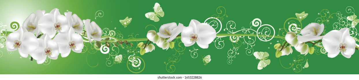 illustration with light orchid flowers on green stripe