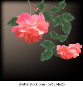 illustration with light red roses on brown background