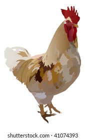 illustration with light rooster isolated on white background