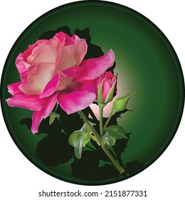 illustration with light rose on green background