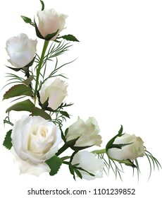 illustration with light roses isolated on white background