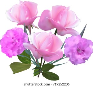 ilustración con rosas claras aisladas en fondo blanco