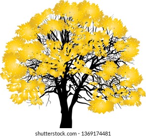 ilustración con árbol de caída amarillo claro aislado en fondo blanco