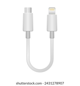 It is an illustration of Lightning from white conversion cable _usb Type-C.