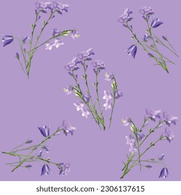 illustration with lilac bellflowers isolated on light violet background