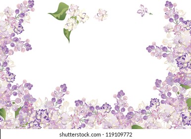 Illustration With Lilac Flower Half Frame Isolated On White Background