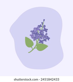 Illustration of lilac on a blue background.