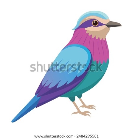 Illustration of Lilac-Breasted Roller on white