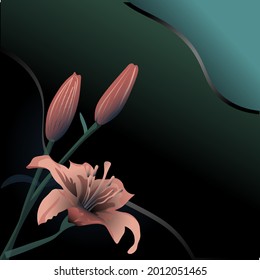 illustration of lilies on gradient background