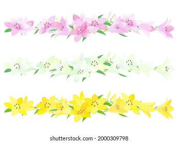 Illustration of Lilium maculatum on white background