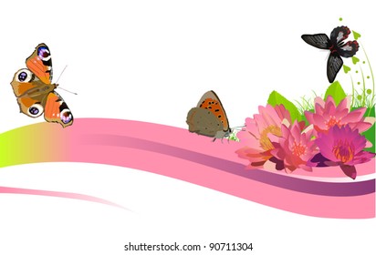 illustration with lily bouquet and butterflies on white background
