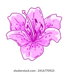 Illustration of lily flower. Beautiful decorative plant.