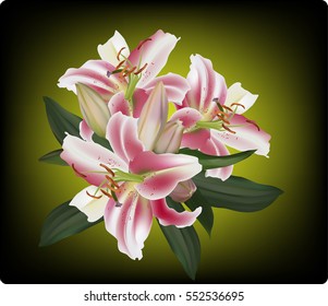 illustration with lily flower on dark background