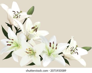 2,913 Lilies in the corner Images, Stock Photos & Vectors | Shutterstock